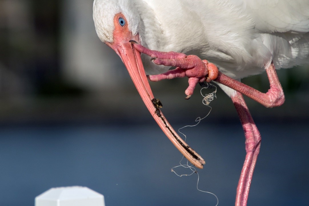 You Can’t Recycle Your Way Out of This: Why we need to stop single-use ...