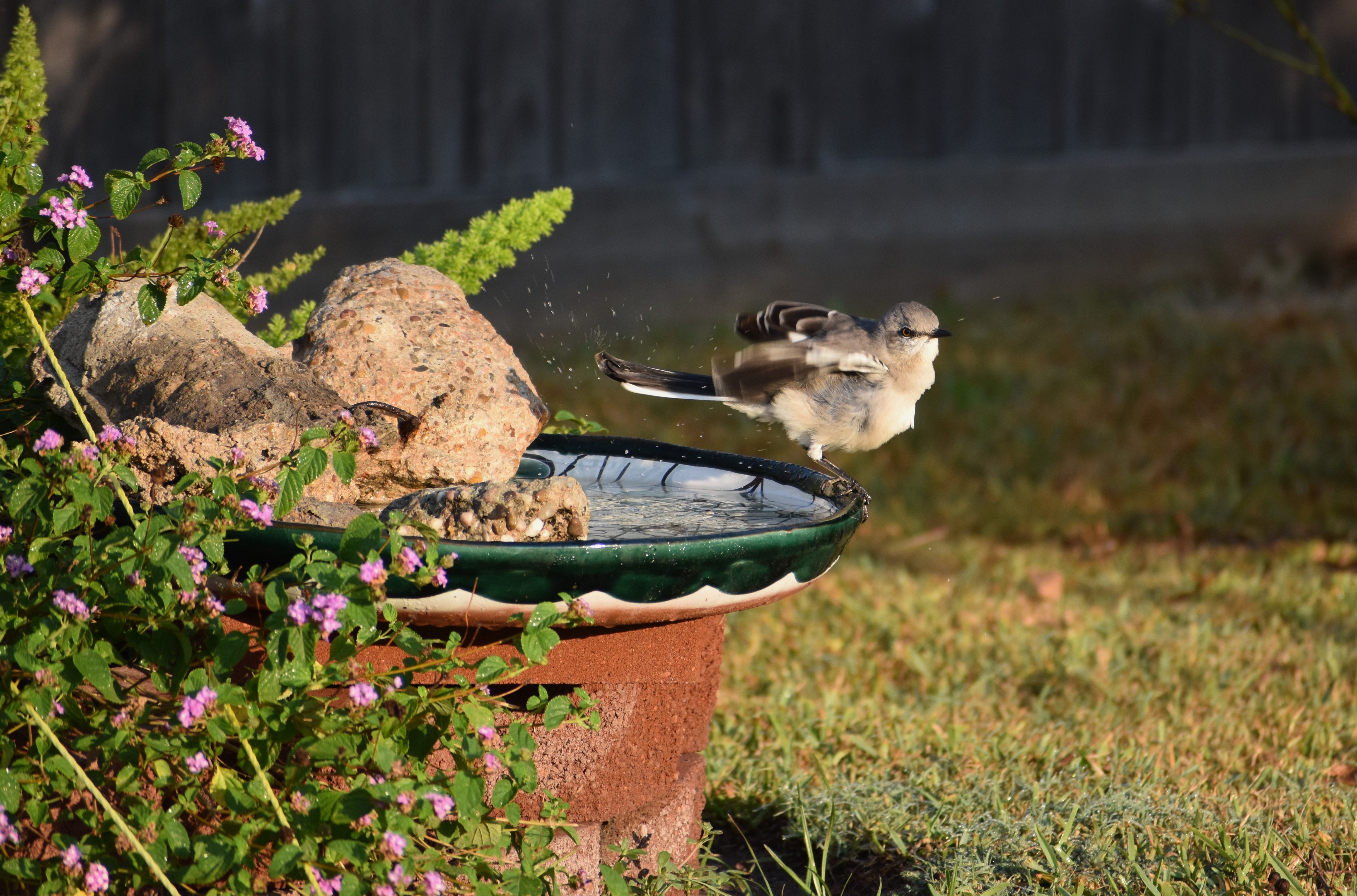 Where to Start…? – Houston AuduBlog