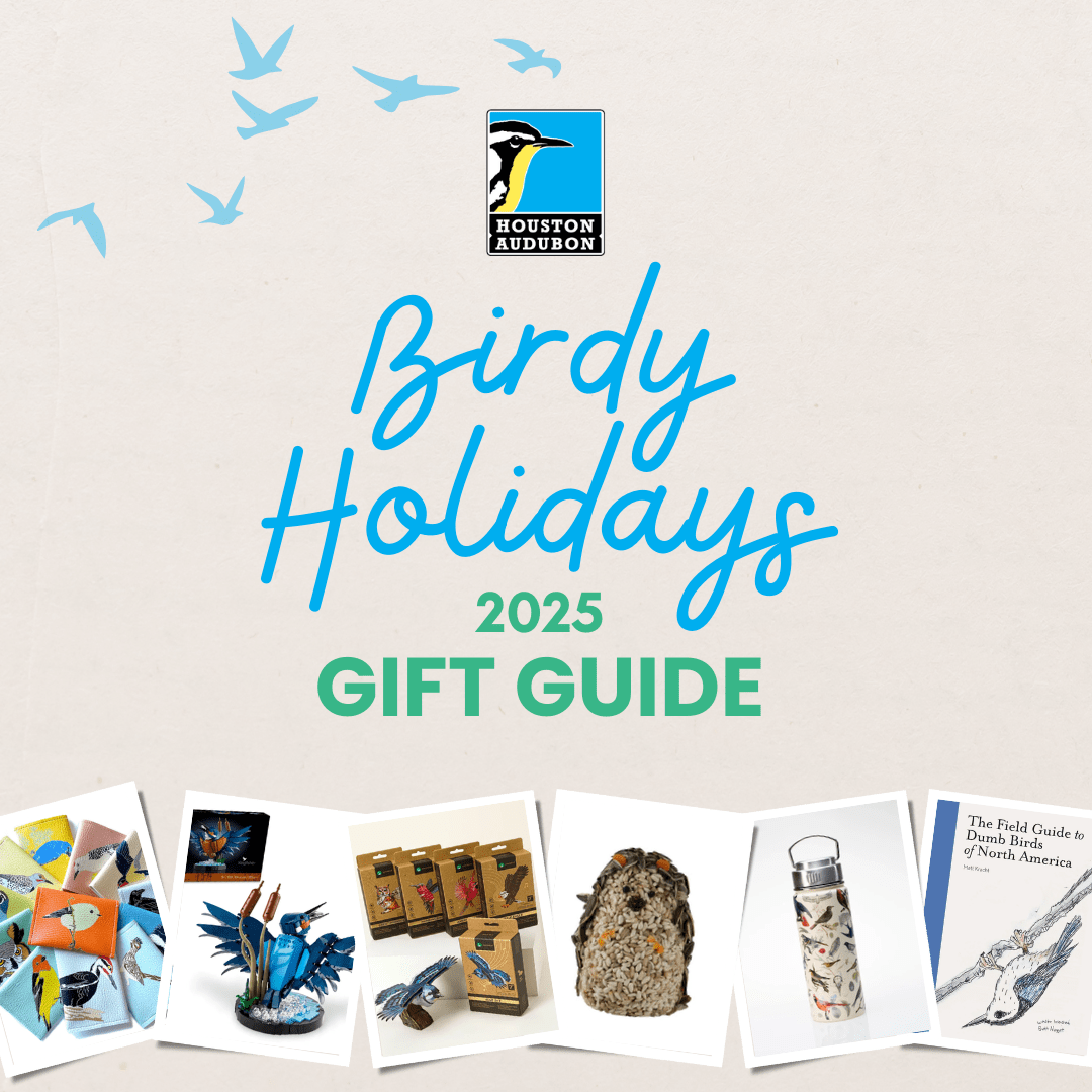 Your 2025 Birdy Holiday Gift&nbsp;Guide