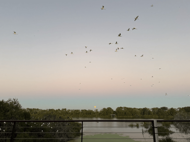 Farewell to High Island: A Reflection by Colleen&nbsp;McDonough