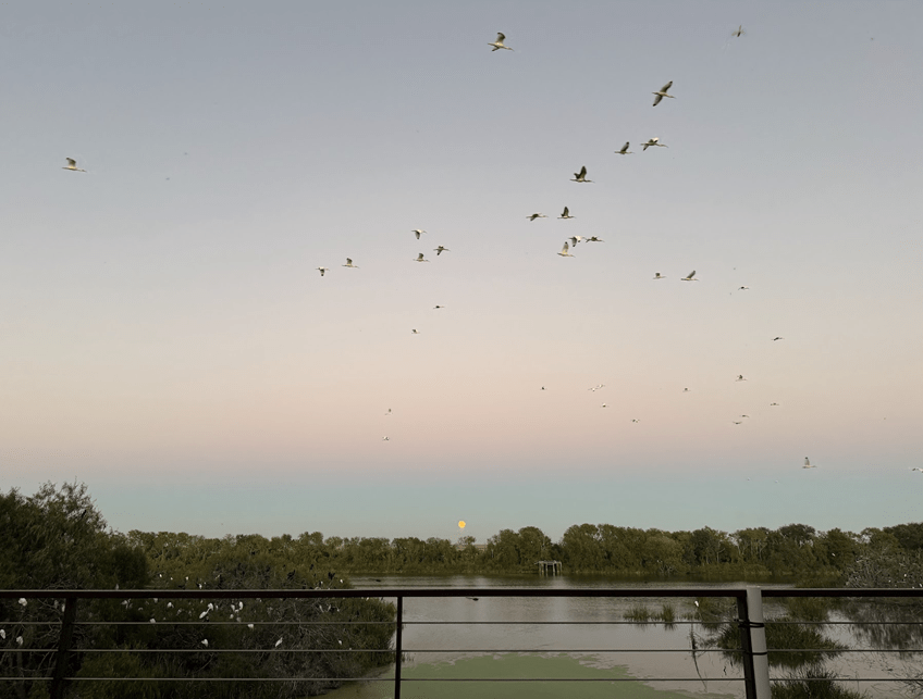 Farewell to High Island: A Reflection by Colleen&nbsp;McDonough