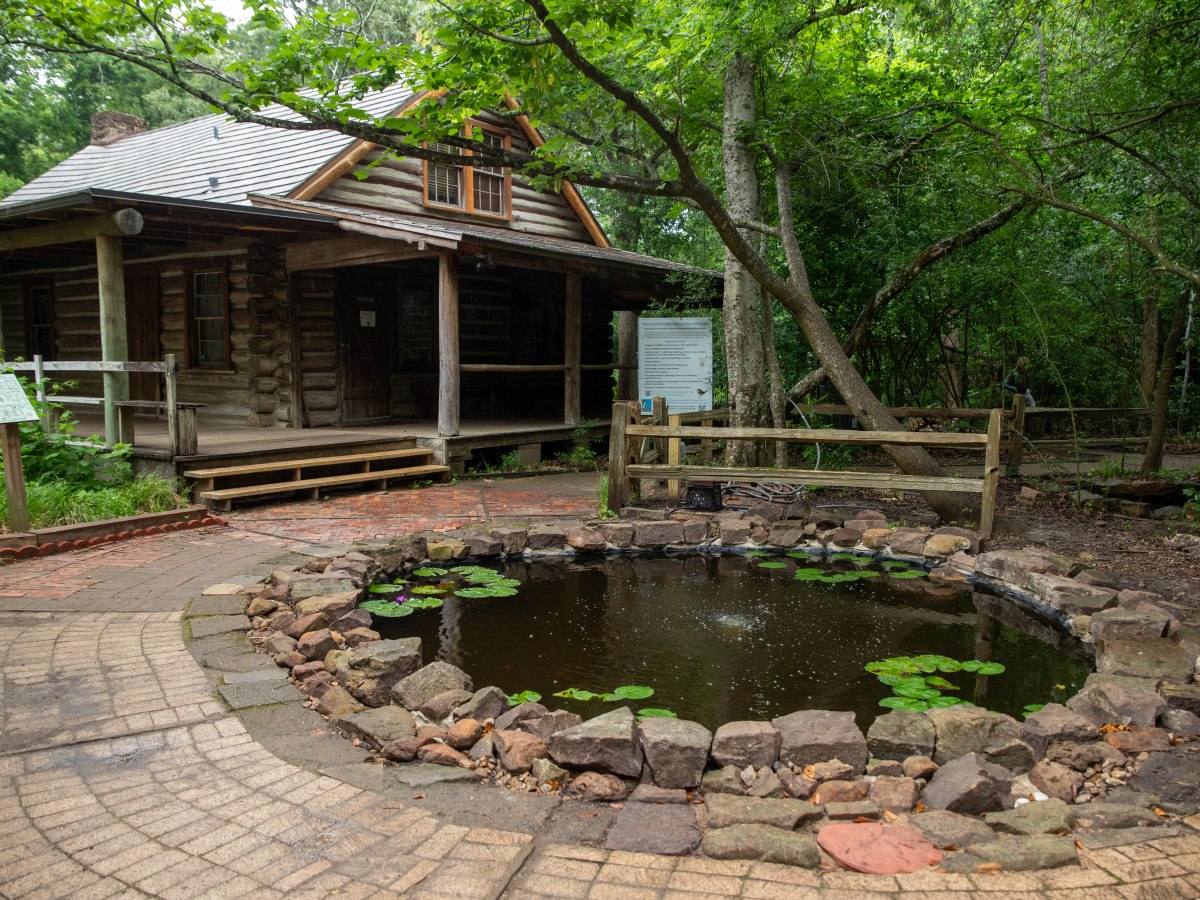 Restoring the Frog Pond at Edith L. Moore Nature&nbsp;Sanctuary