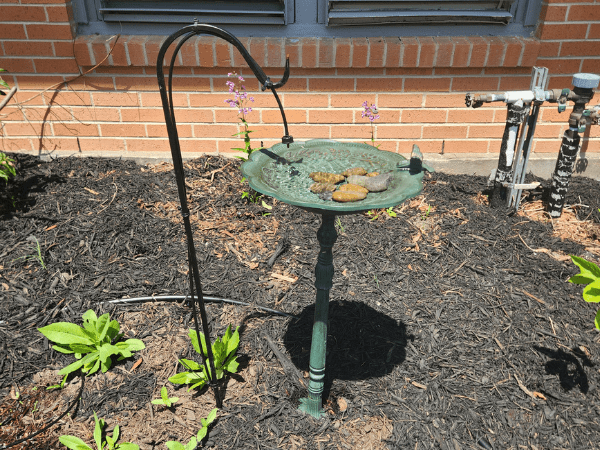 How to Assemble Your Own Bird Drip Water&nbsp;Feature