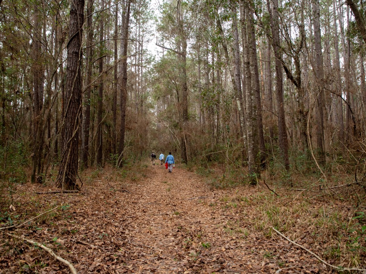 A Legacy Takes Flight: Tom Maddux and Peach Creek&nbsp;Woods