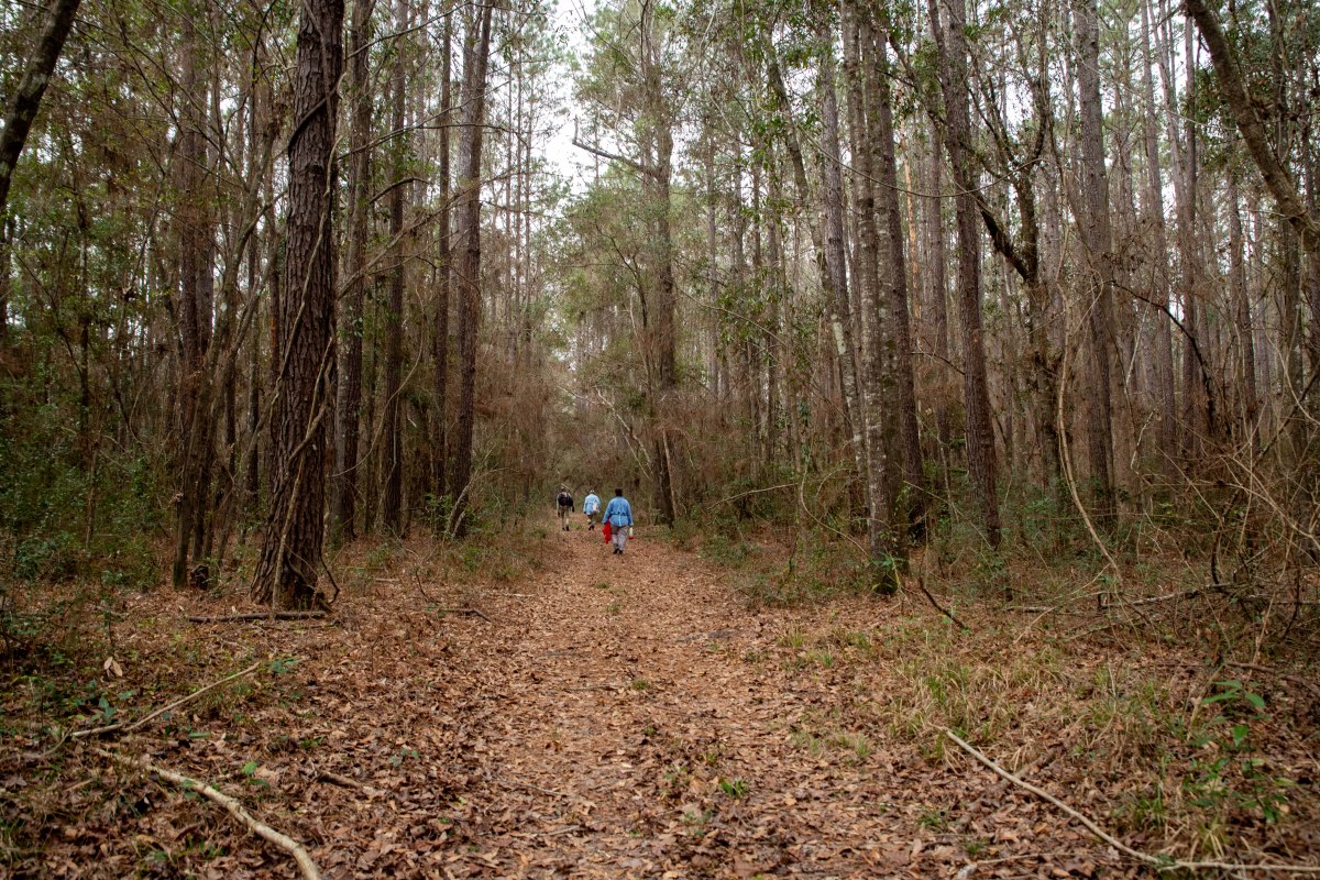 A Legacy Takes Flight: Tom Maddux and Peach Creek&nbsp;Woods